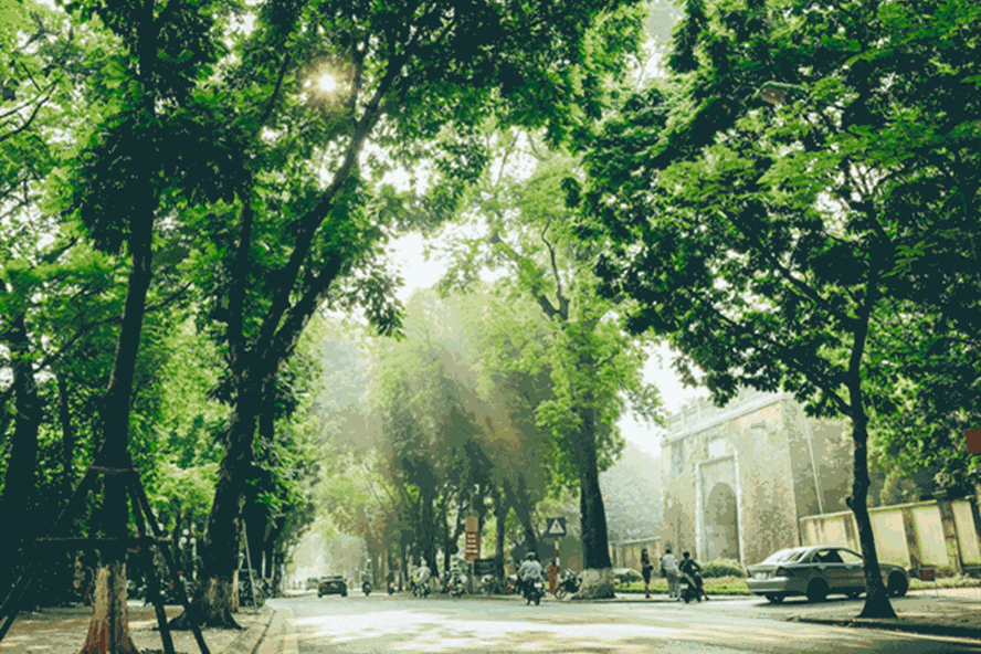 Thời tiết hôm nay 216 Bắc Bộ mưa lớn tập trung vào chiều tối và đêm