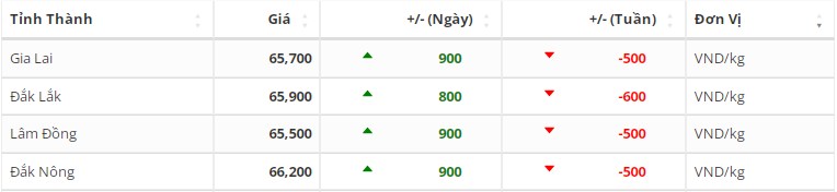 Giá cà phê hôm nay 276 Thị trường trong nước tăng 900 đồngkg