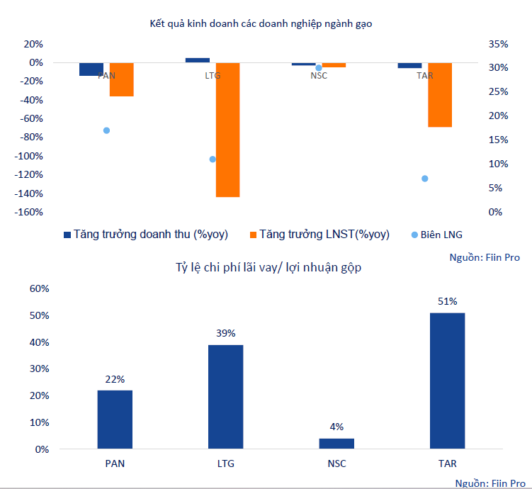 Ngành gạo được kì vọng sẽ tăng trưởng bứt phá trong năm 2023