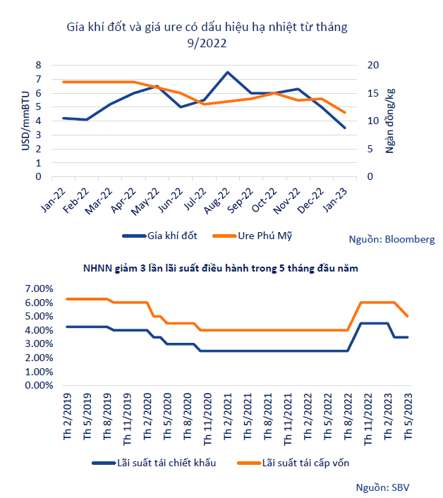 Ngành gạo được kì vọng sẽ tăng trưởng bứt phá trong năm 2023