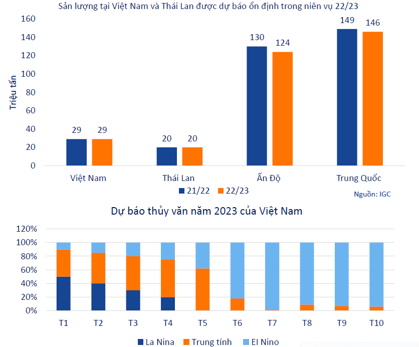 Ngành gạo được kì vọng sẽ tăng trưởng bứt phá trong năm 2023