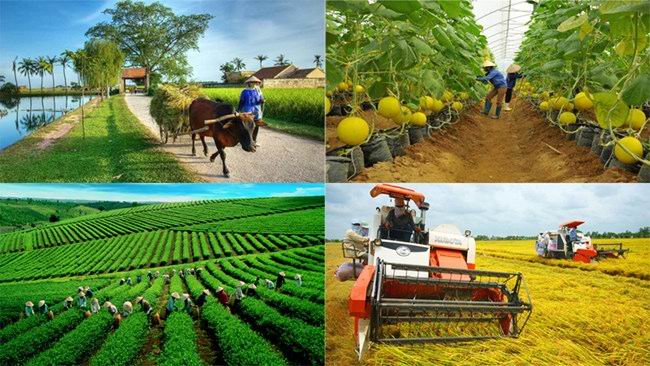 Giải pháp thúc đẩy chuyển đổi số trong khu vực kinh tế tập thể