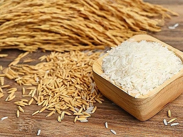 Giá lúa gạo hôm nay 46 Tiếp tục duy trì mức ổn định