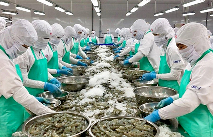 Xem xét kiến nghị của VASEP về gỡ khó cho doanh nghiệp thủy sản