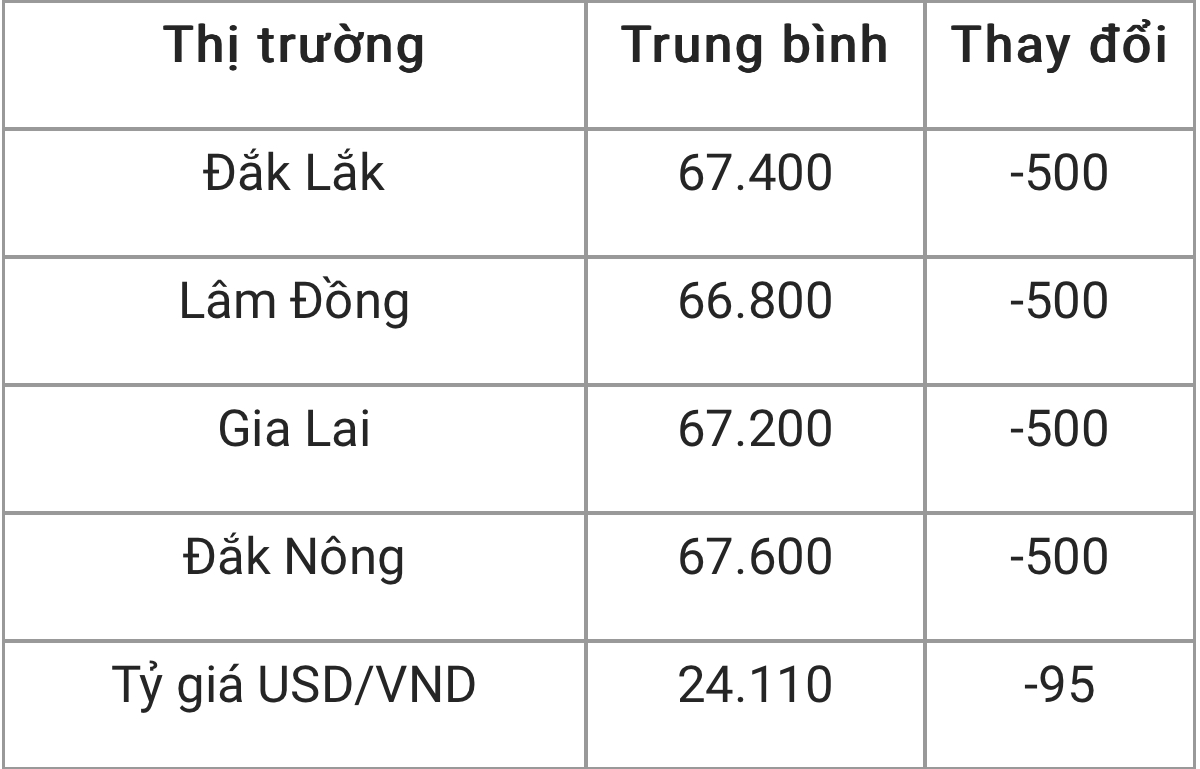 Giá cà phê hôm nay 219 Thị trường trong nước đồng loạt giảm