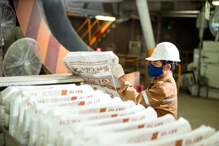 Công ty xi măng lớn nhất miền Nam báo lãi cả năm thấp nhất trong một thập kỷ