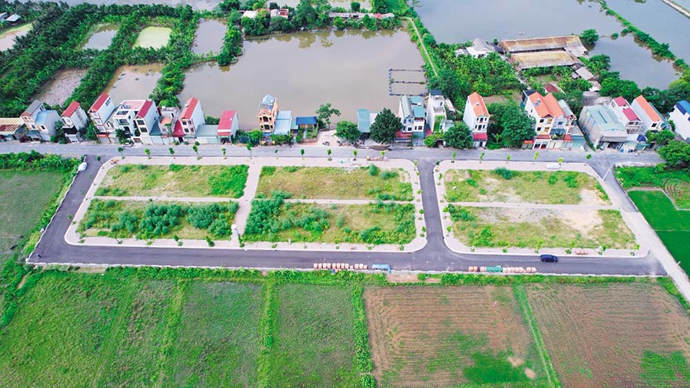 Đề xuất công khai người bỏ cọc đấu giá đất để tránh trục lợi gây nhiễu loạn thị trường