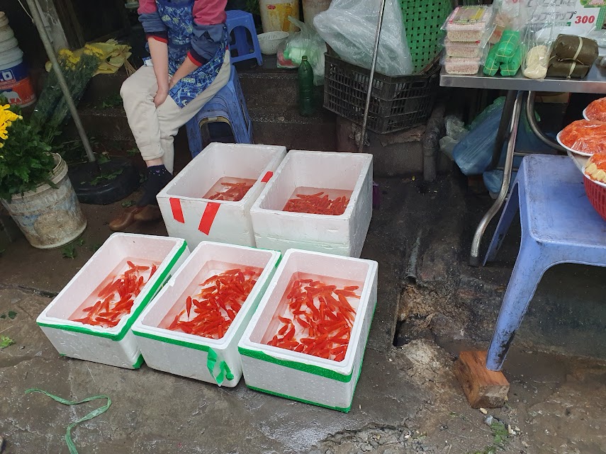 Tết ông Công ông Táo