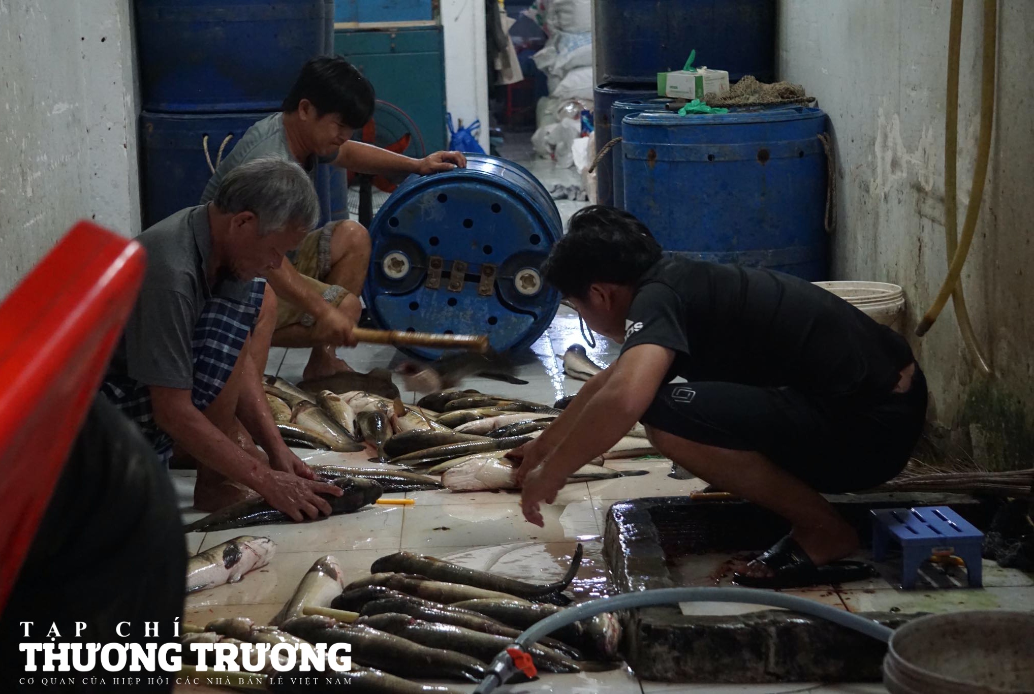 TPHCM Phố cá lóc nhộn nhịp trước ngày vía thần tài