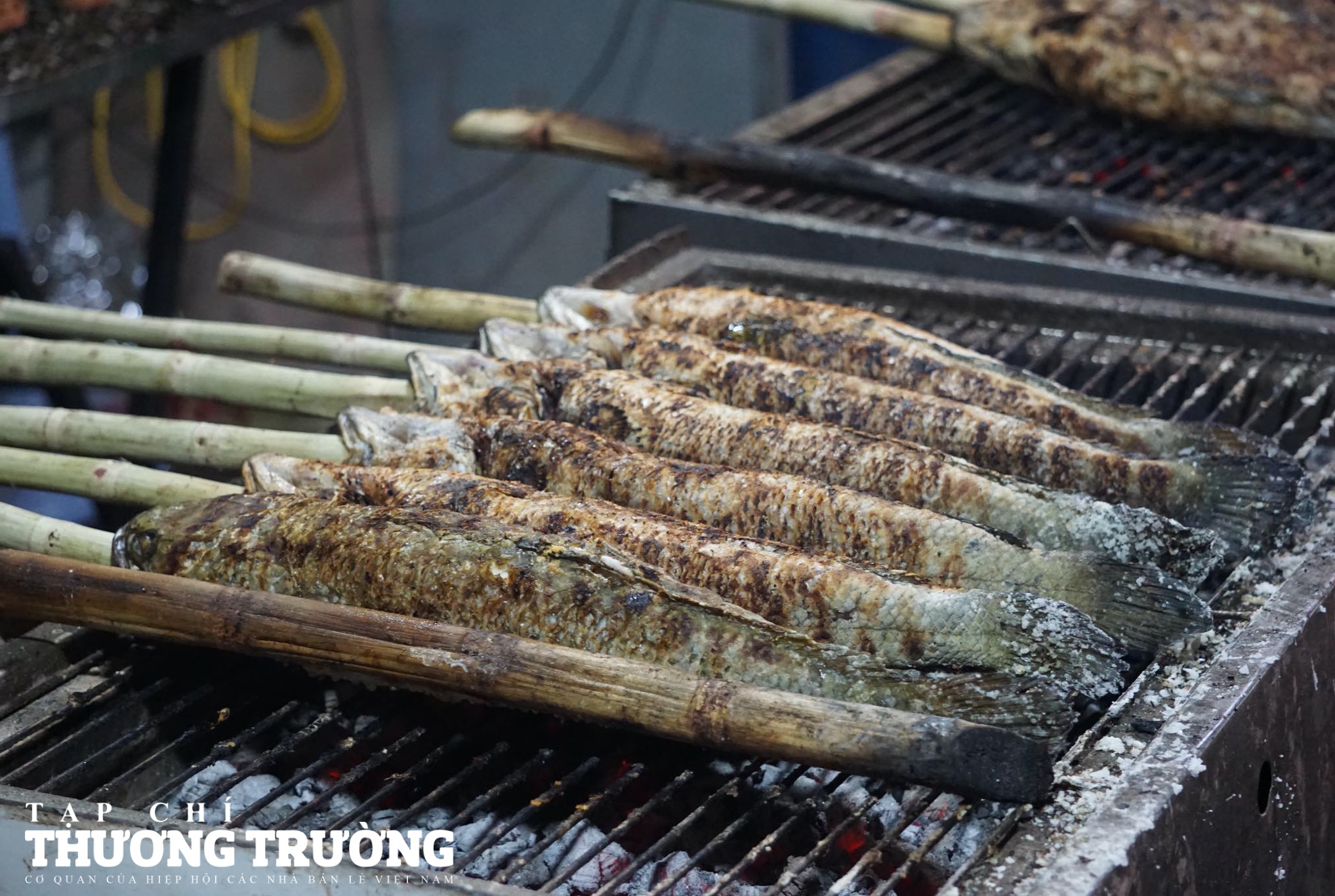 TPHCM Phố cá lóc nhộn nhịp trước ngày vía thần tài