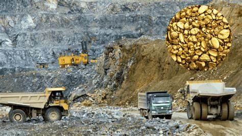 Những chính sách nổi bật có hiệu lực từ tháng 32024