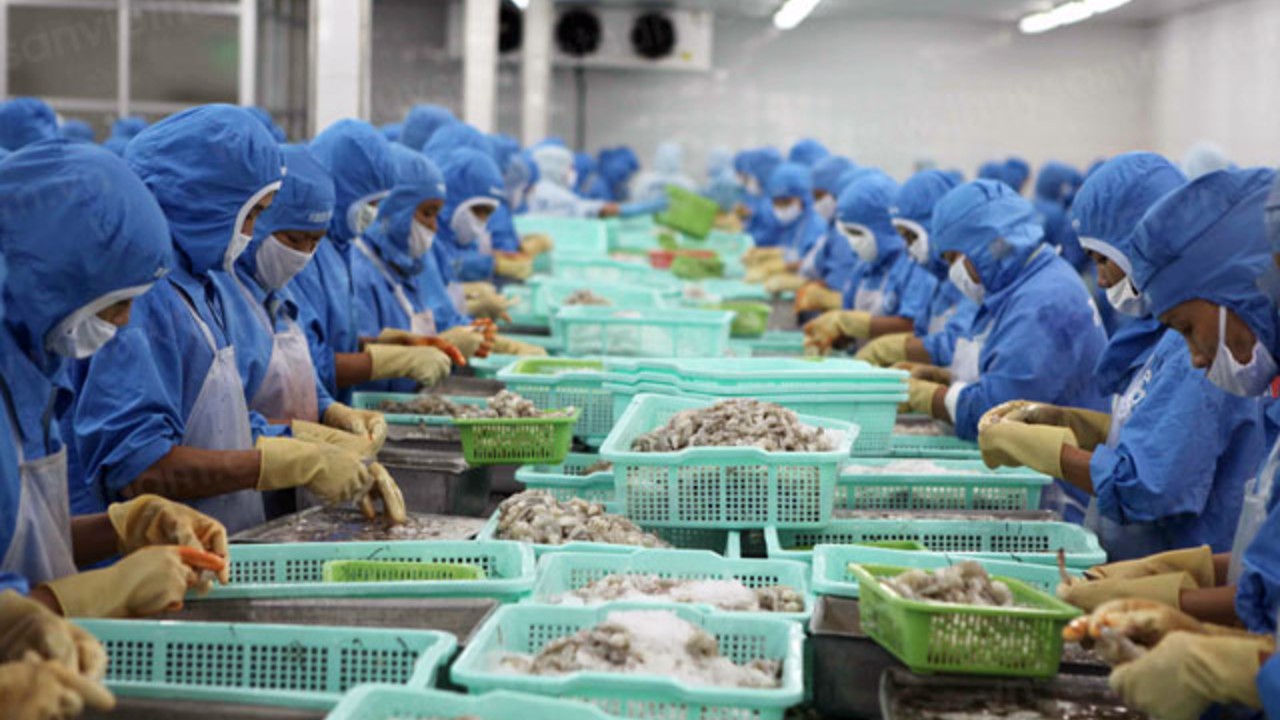 Kinh doanh tôm hiệu quả doanh số Sao Ta tiếp tục tăng trưởng trong tháng 52021