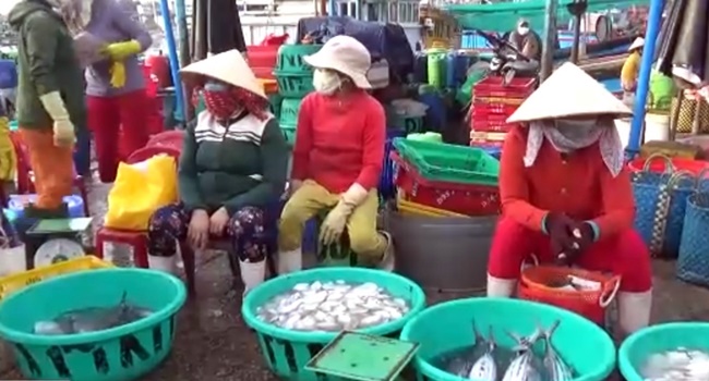 NINH THUẬN Kiểm soát chặt các cảng cá để phòng chống Covid19