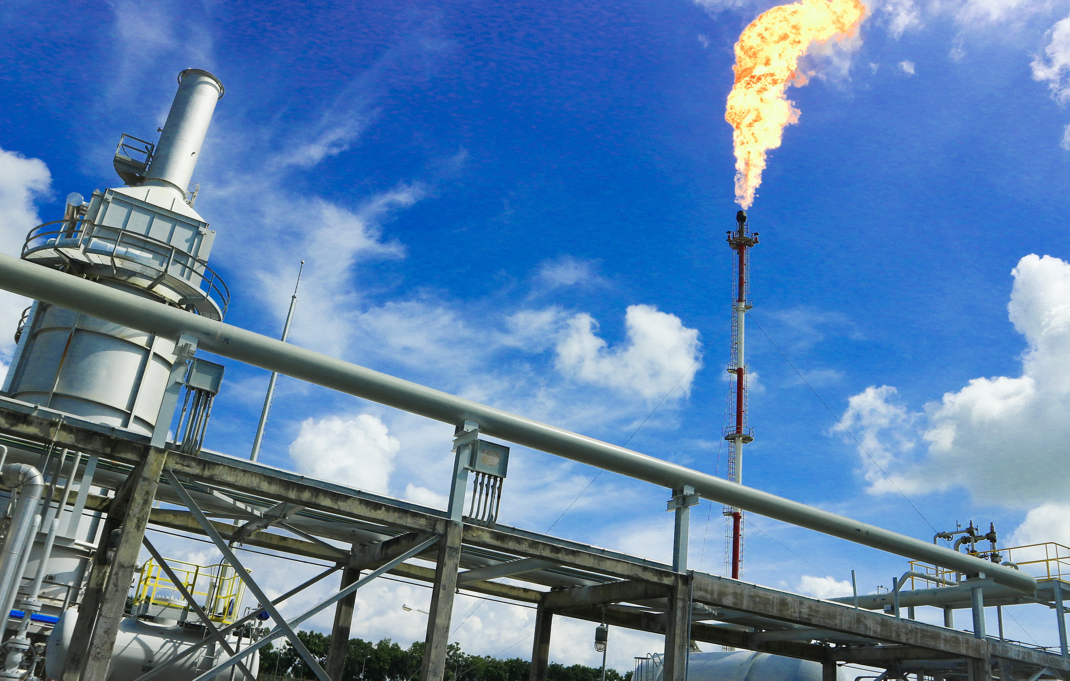 Cổ đông của PV GAS sắp nhận được 3000 đồngcp