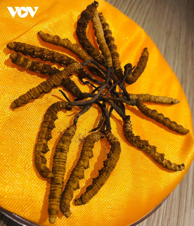 Cảnh báo người tiêu dùng về 