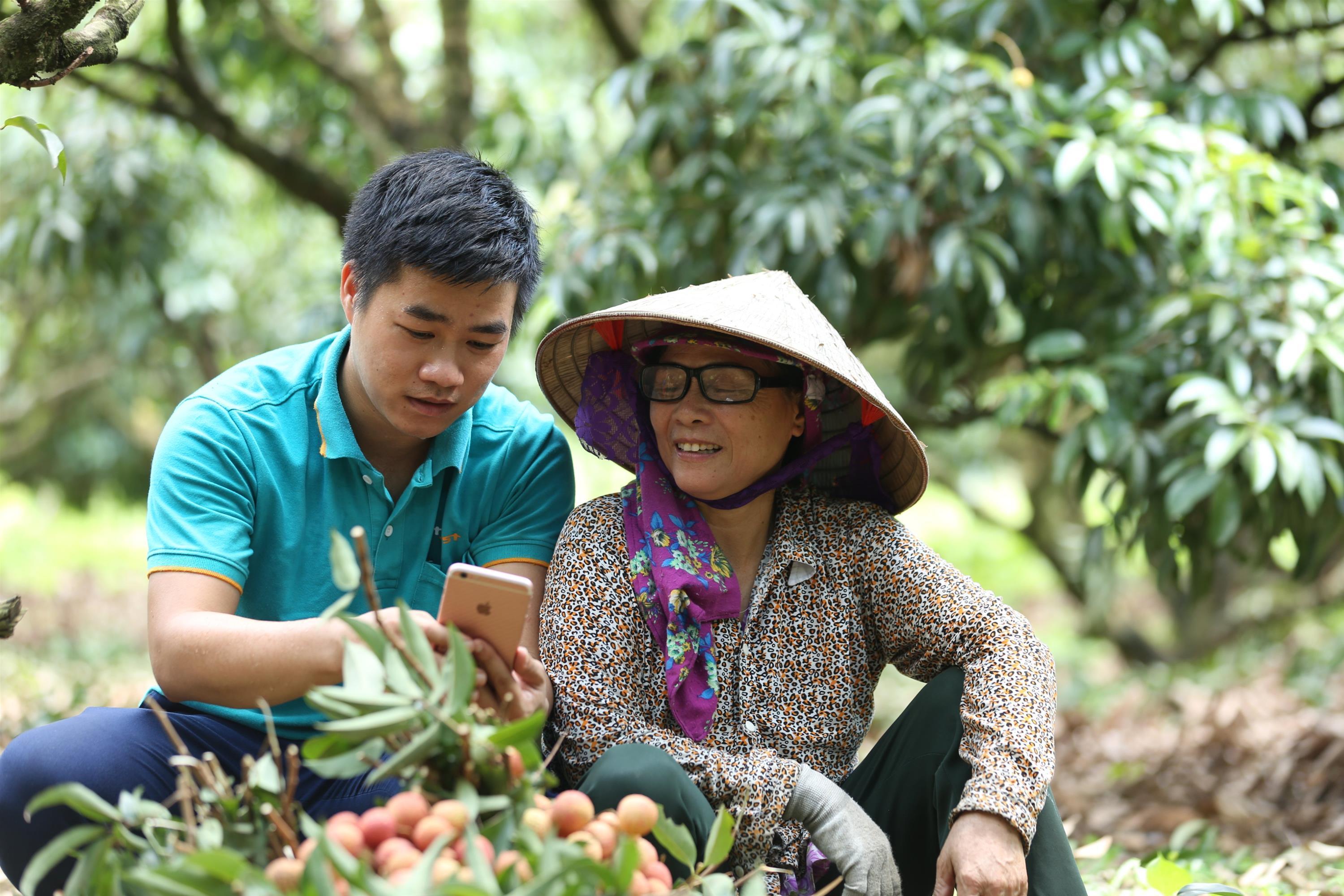 Hỗ trợ đưa hộ sản xuất nông nghiệp lên sàn thương mại điện tử