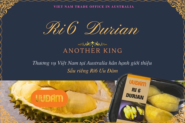 Đặc sản trái sầu riêng Ri6 của Việt Nam cháy hàng tại Australia