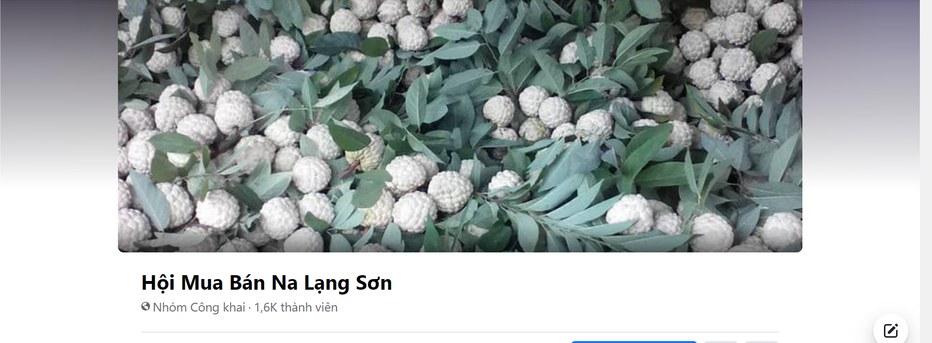 Na đầu mùa lên sàn thương mại điện tử khi dịch Covid 19 diễn biến phức tạp