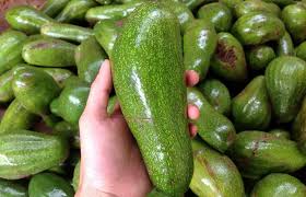 Cách chọn bơ sáp ngon không bị sượng đắng