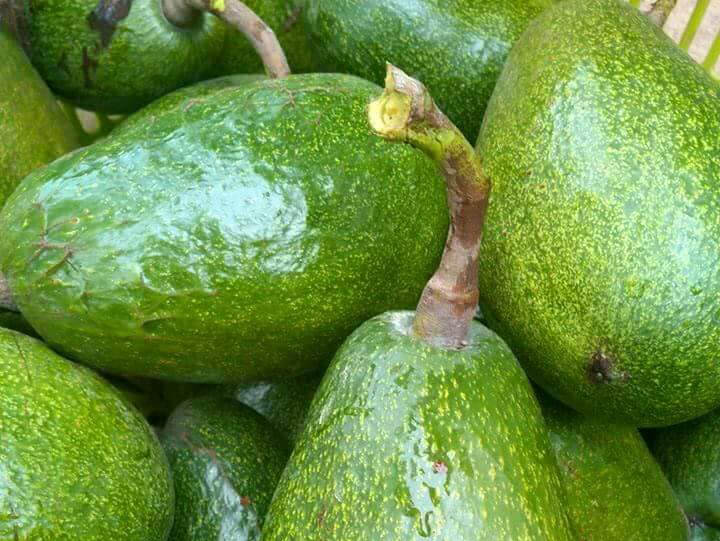Cách chọn bơ sáp ngon không bị sượng đắng