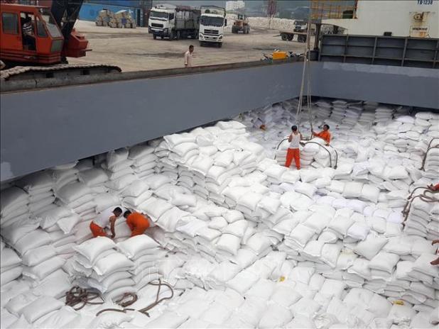 Khuyến cáo doanh nghiệp giao dịch thận trọng tại thị trường Algeria và Senegal