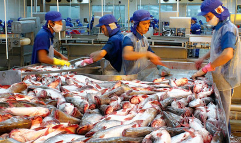 Vì sao Trung Quốc nâng hàng rào thương mại cho nhập khẩu cá tra