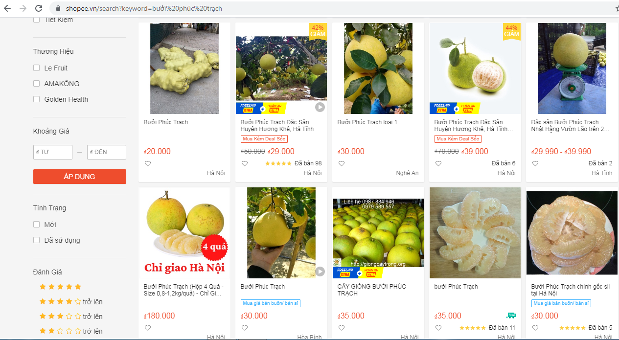 Sàn thương mại điện tử đang là cầu nối hiệu quả mang sản phẩm đến người tiêu dùng
