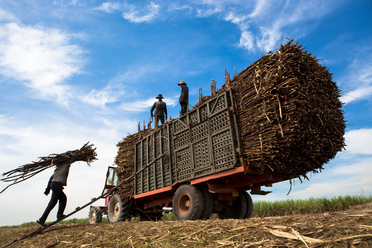 Việt Nam điều tra chống lẩn tránh thuế sản phẩm đường mía nhập khẩu đối với 5 nước ASEAN