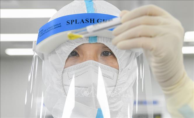 Sáng 309 Có 13 địa phương không ghi nhận ca nhiễm mới hơn 23500 bệnh nhân được công bố khỏi bệnh