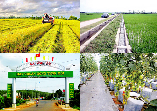 Chính phủ đặt mục tiêu tăng trưởng GDP 6 65 trong năm 2022
