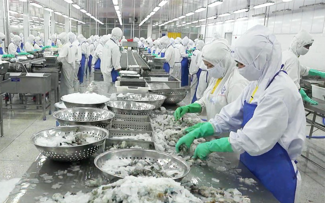 Xuất khẩu thủy sản đang có tín hiệu hồi phục trong tháng 10