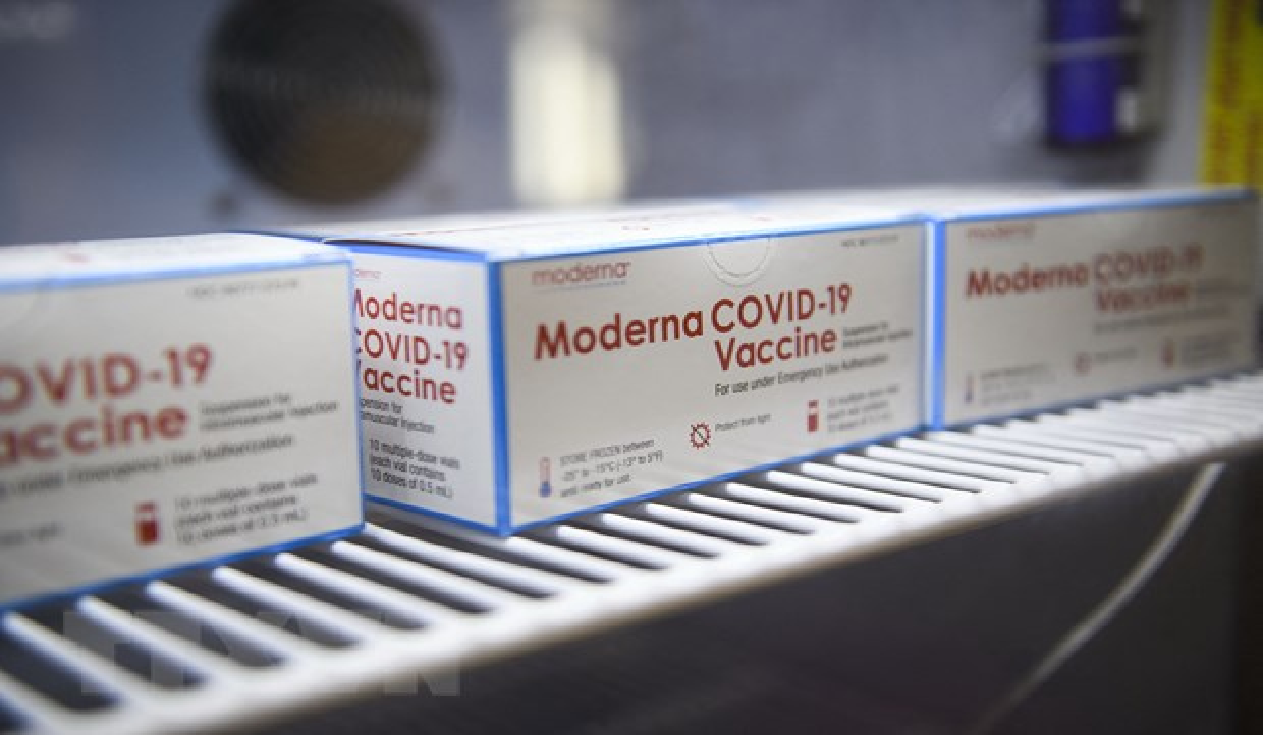 Moderna xin cấp phép vaccine COVID19 cho trẻ từ 611 tuổi ở EU