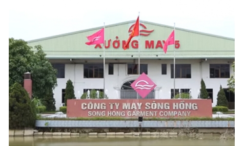May Sông Hồng chi 225 tỷ đồng trả cổ tức tiền mặt tỷ lệ 45