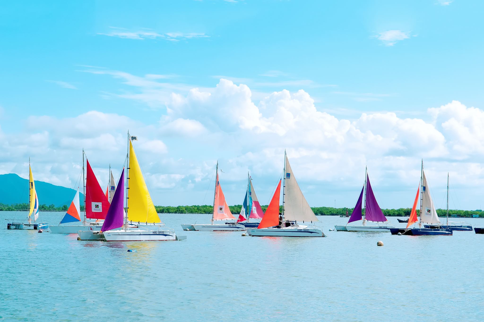 Thanh tra chỉ ra hàng loạt sai phạm tại dự án Bến thuyền du lịch của Công ty CP Vũng Tàu Marina