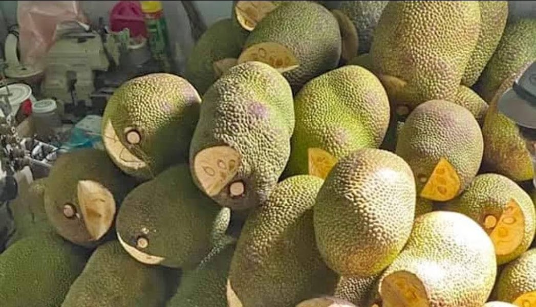 Giá mít Thái giảm mạnh thị trường Hà Nội chỉ còn 10000 đồngkg