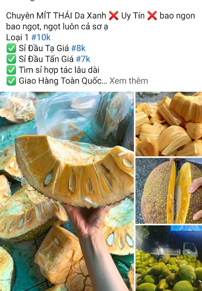 giá mít thái
