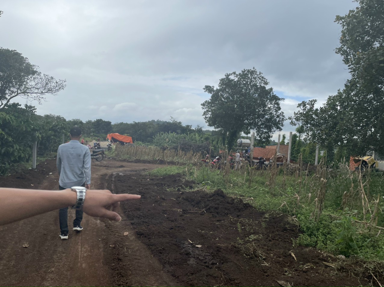 Tạm đình chỉ công tác Chủ tịch phường ở TP Buôn Ma Thuột do buông lỏng quản lý đất đai