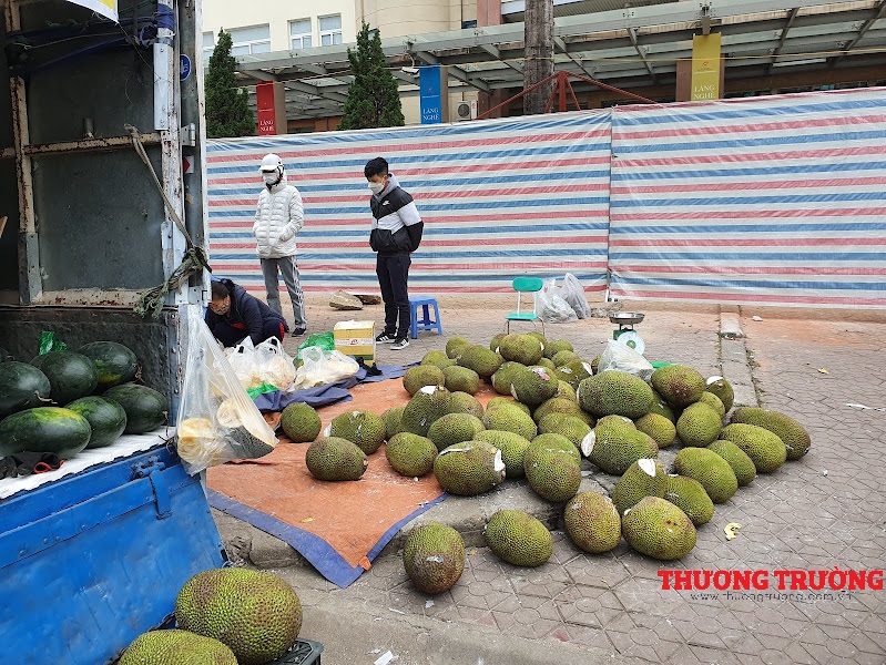 Mít Thái tràn về Hà Nội