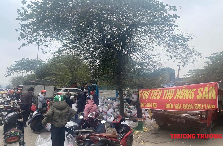 Mít Thái tràn về Hà Nội