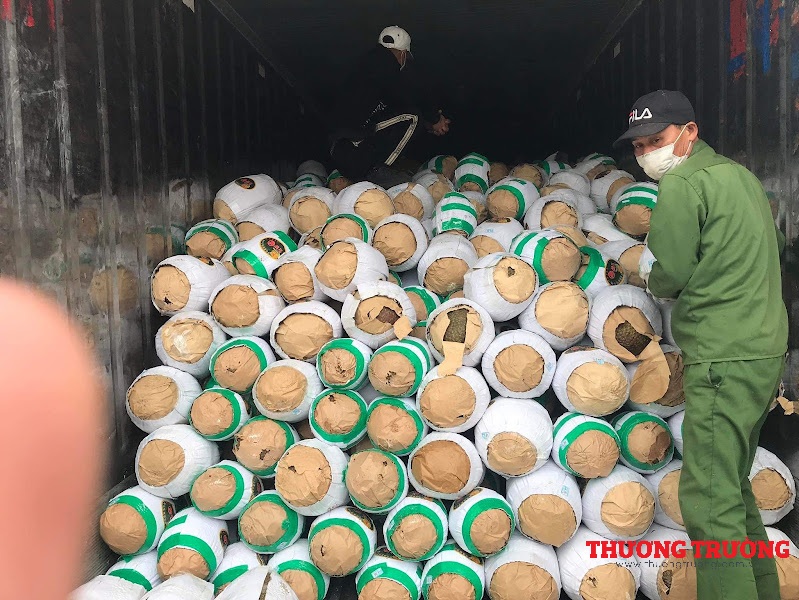 Mít Thái tràn về Hà Nội