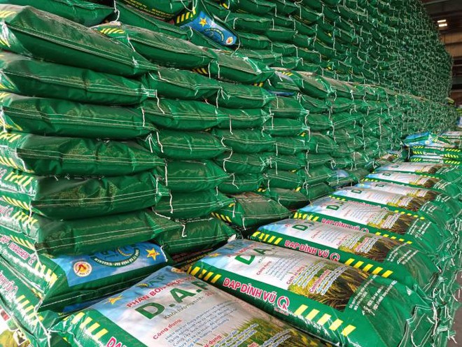 Không cáo cáo giao dịch cổ đông lớn DDV bị phạt 200 triệu đồng