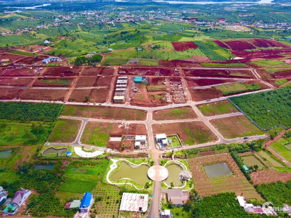 Dừng toàn bộ việc tác động đầu tư xây dựng đối với các tổ chức cá nhân xin hiến đất làm đường tách thửa tại huyện Bảo Lâm