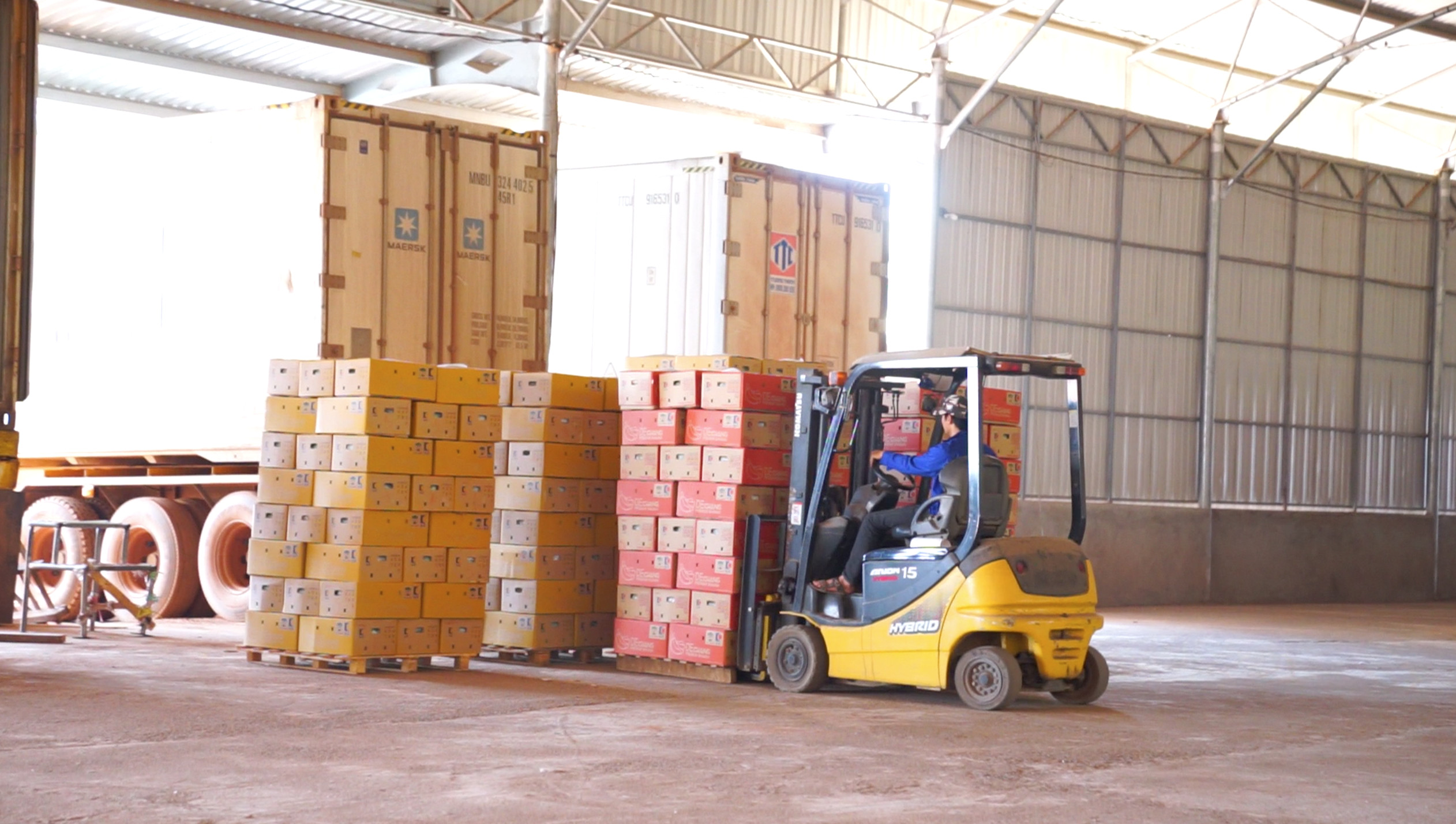 THILOGI phát triển dịch vụ logistics xuất khẩu nông sản với sản lượng lớn