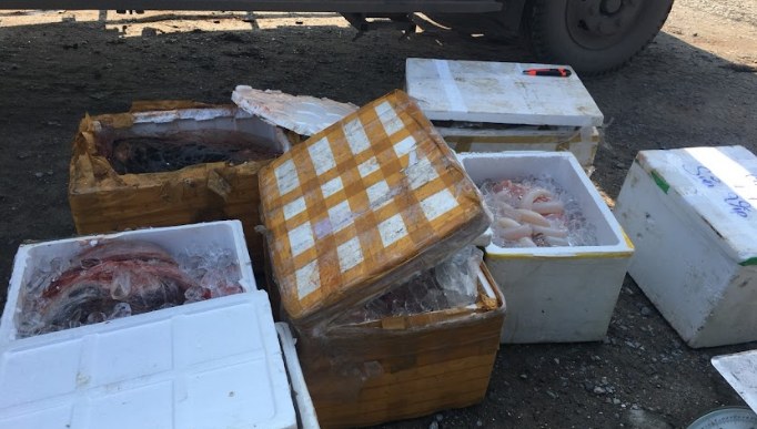Phát hiện hơn 200 kg nội tạng động vật không rõ nguồn gốc đang trên đường đi tiêu thụ