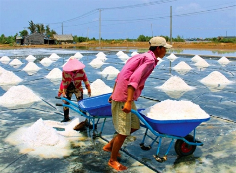 Phát triển ngành muối cần xây dựng tiêu chuẩn quy chuẩn để đáp ứng thị trường