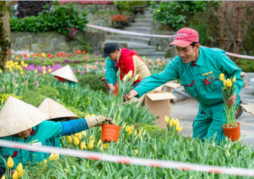 Doanh nghiệp trong giai đoạn bình thường mới Tập trung vào chiến lược tái định vị biến