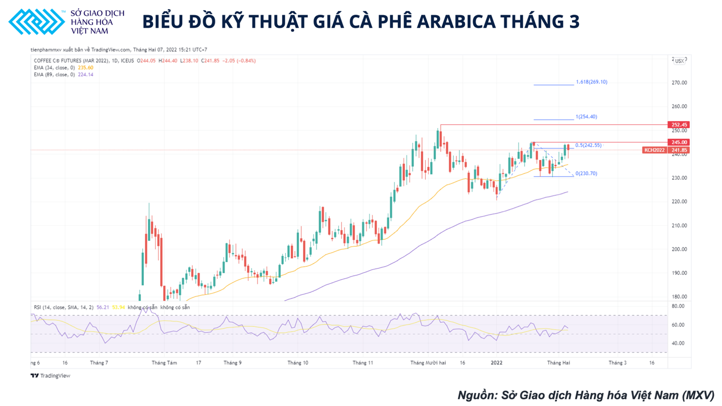 Giá cà phê Arabica có thể tăng mạnh hơn giá cà phê Robusta