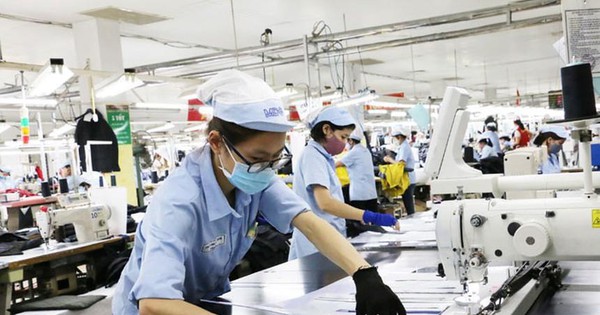 Vinatex VGT chi 250 tỷ đồng tạm ứng cổ tức năm 2021