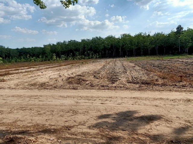 Bình Dương Bắt giữ nữ môi giới đất lừa đảo chiếm đoạt hơn 80 tỉ đồng của khách hàng