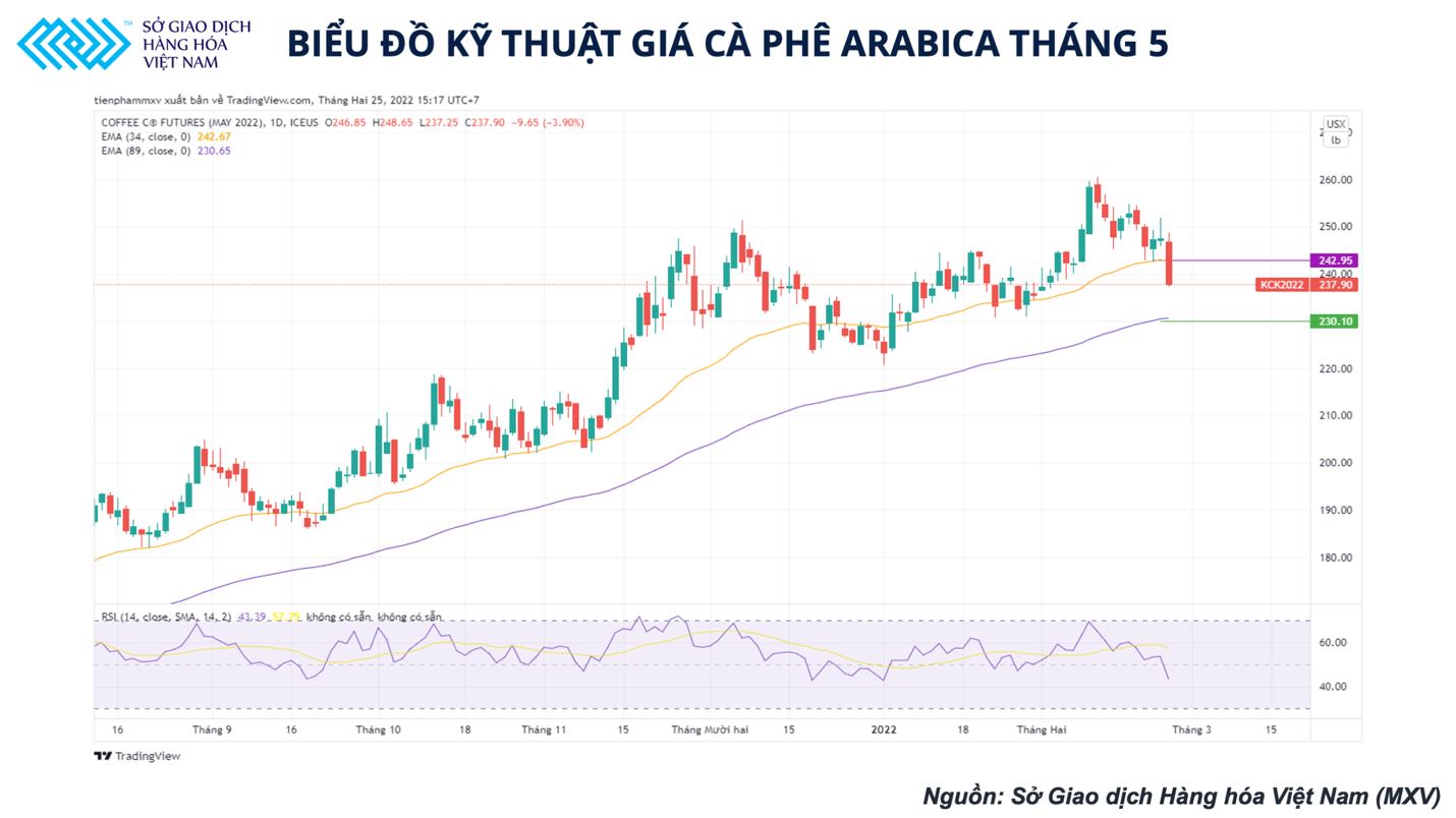 Giá cà phê có thể tiếp tục giảm